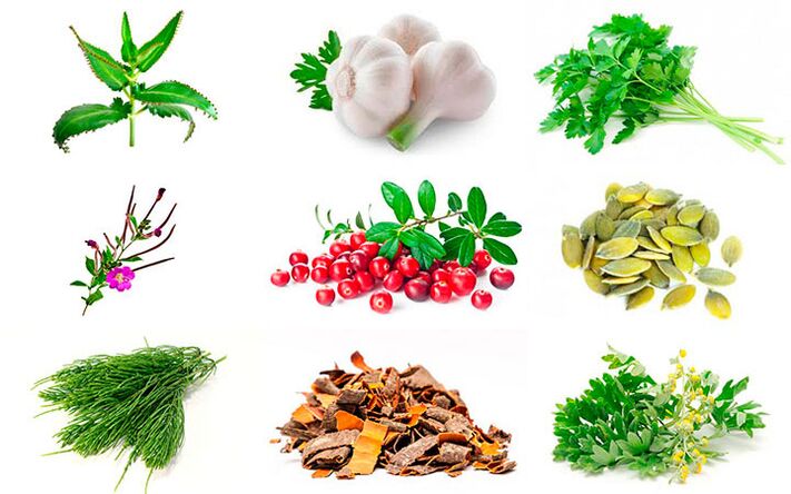 liaudies gynimo priemonės prostatito gydymui